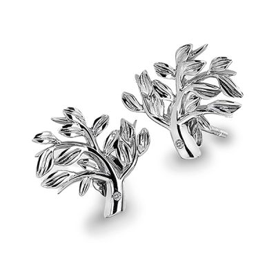 Brincos Hot Diamonds Passionate DE565