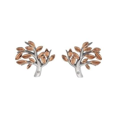 Brincos Hot Diamonds Passionate DE566