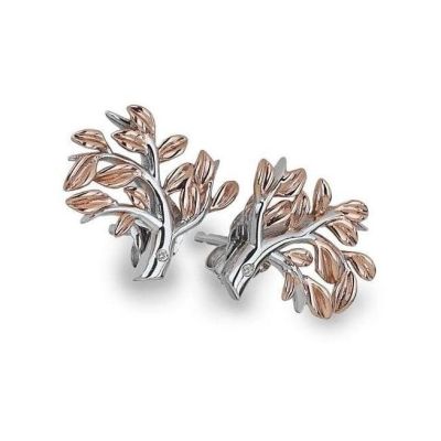 Brincos Hot Diamonds Passionate DE566