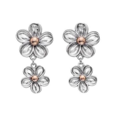 Brincos Hot Diamonds Forget DE617