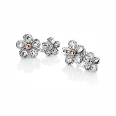 Brincos Hot Diamonds Forget DE617