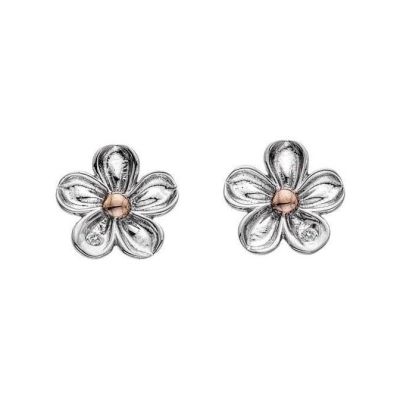 Brincos Hot Diamonds Forget DE618