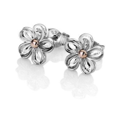 Brincos Hot Diamonds Forget DE618