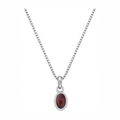 Colar Hot Diamonds Garnet DP754