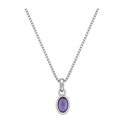 Colar Hot Diamonds Amethyst DP755