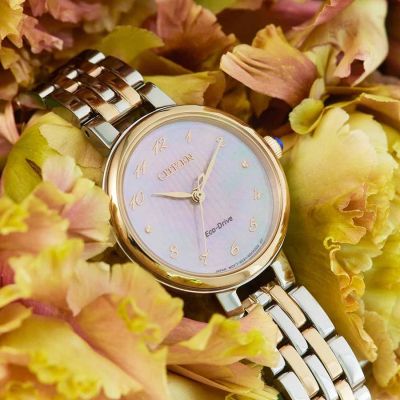 Relógio Citizen Lady EM0996-84Y