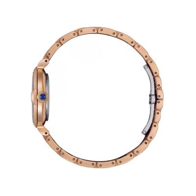Relógio Citizen Lady EM1073-85Y