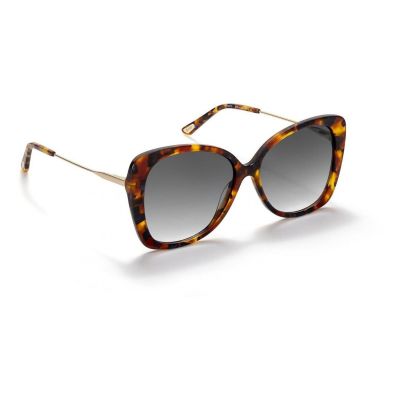 Óculos de Sol One Preppy Castanho OSHS4587TCC322H